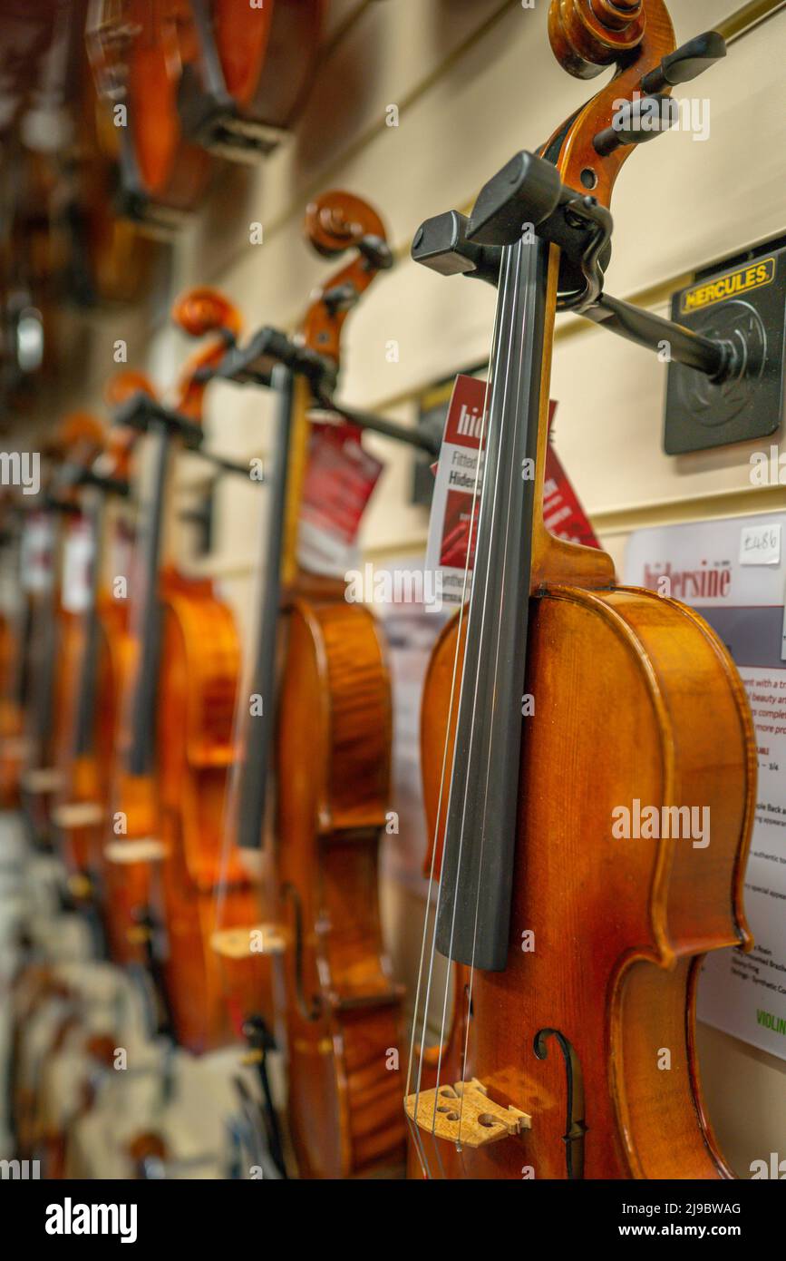 A display of violins in a musical instrument shop. Stock Photo
