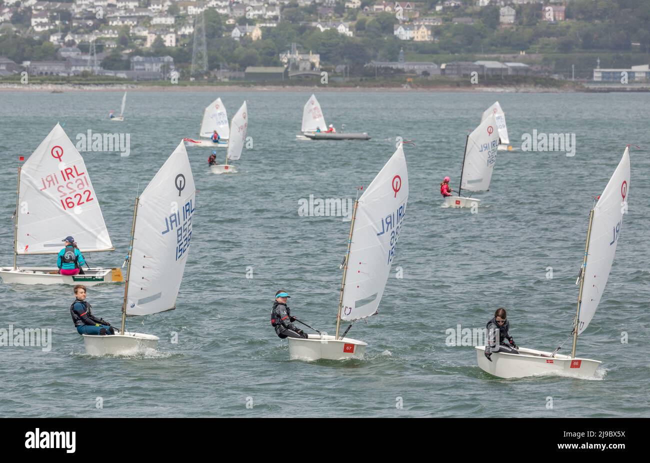 Crosshaven, Cork, Ireland. 22nd May, 2022. Some of the competitors taking part in the IODAI Optimist Munster Championship that was held in Crosshaven, Co. Cork, Ireland over the weekend. - Credit; David Creedon / Alamy Live News Stock Photo