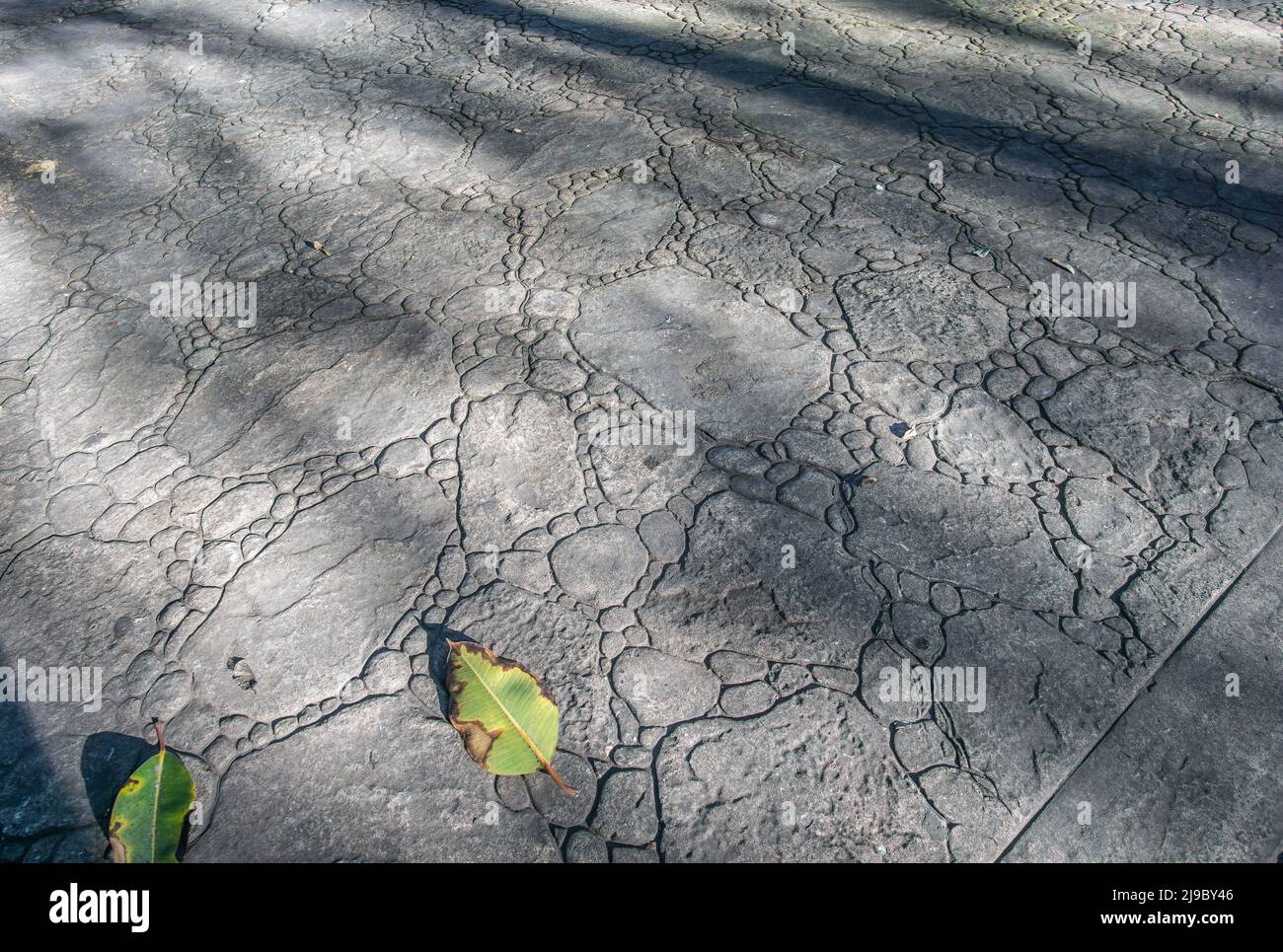 top view of stamped concrete pavement outdoor, Flat boulders and