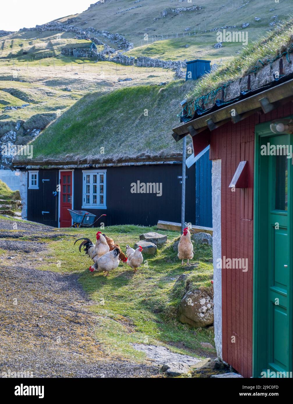 Houses with grass roofs on the Faroe Islands. Stock Photo