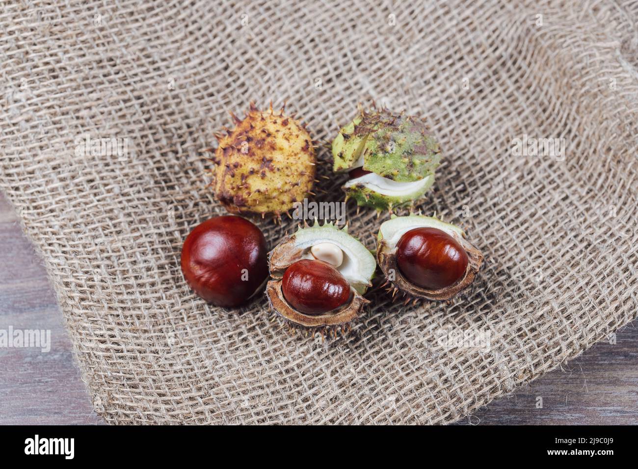 Edible chestnut kernels lie on burlap on a wooden table Stock Photo