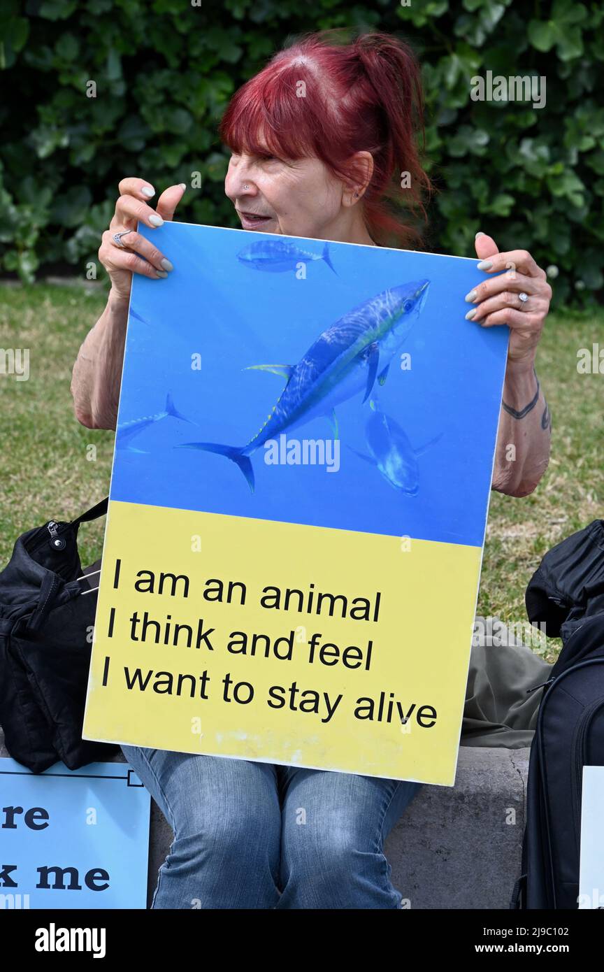 Vegan demonstration in support of animal welfare, Trafalgar Square, London, UK Stock Photo