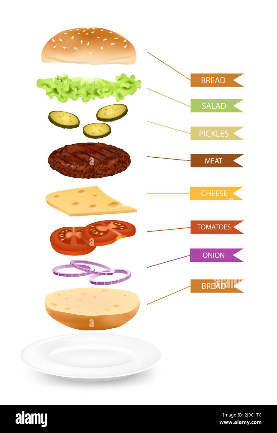 Vertical image of hamburger on plate separated into isolated colorful layers of ingredients with editable captions vector illustration Stock Vector