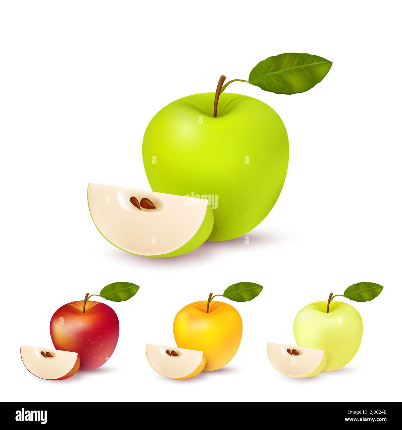 Four apples Stock Vector Images - Alamy