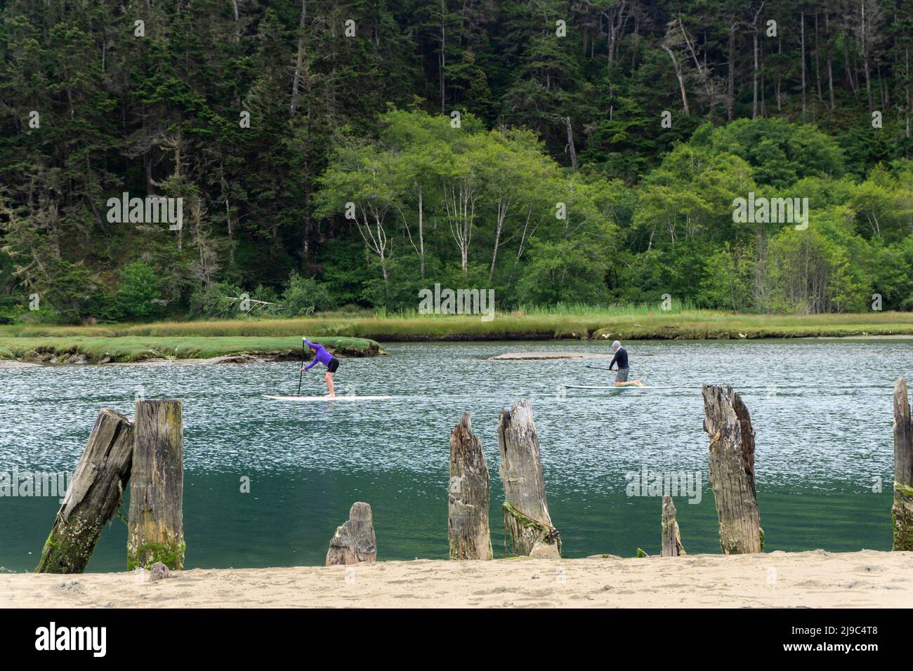 Paddle boarding on the Albion River in California. Stock Photo