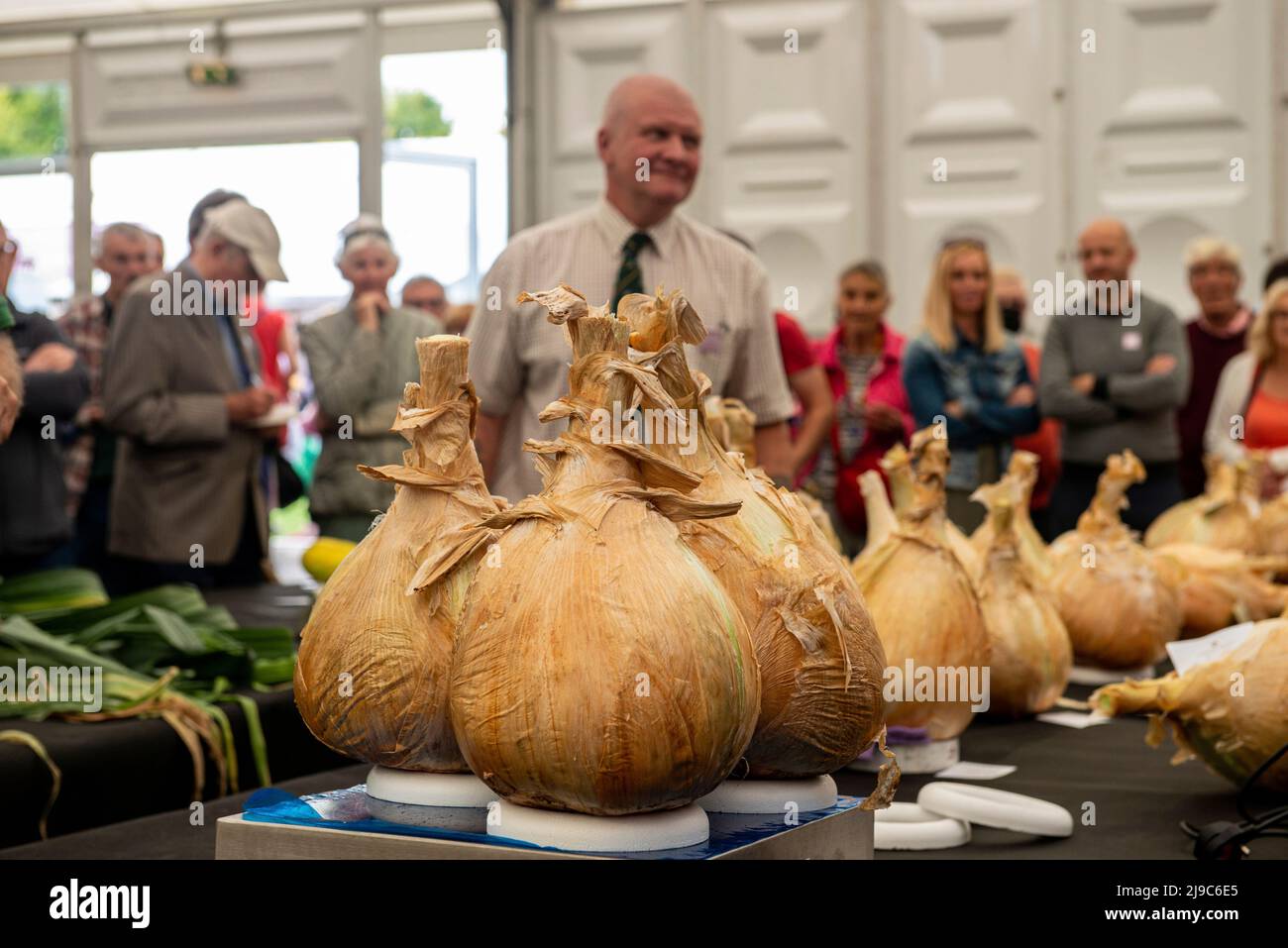 One of the judges of the biggest onion competition stands behind huge