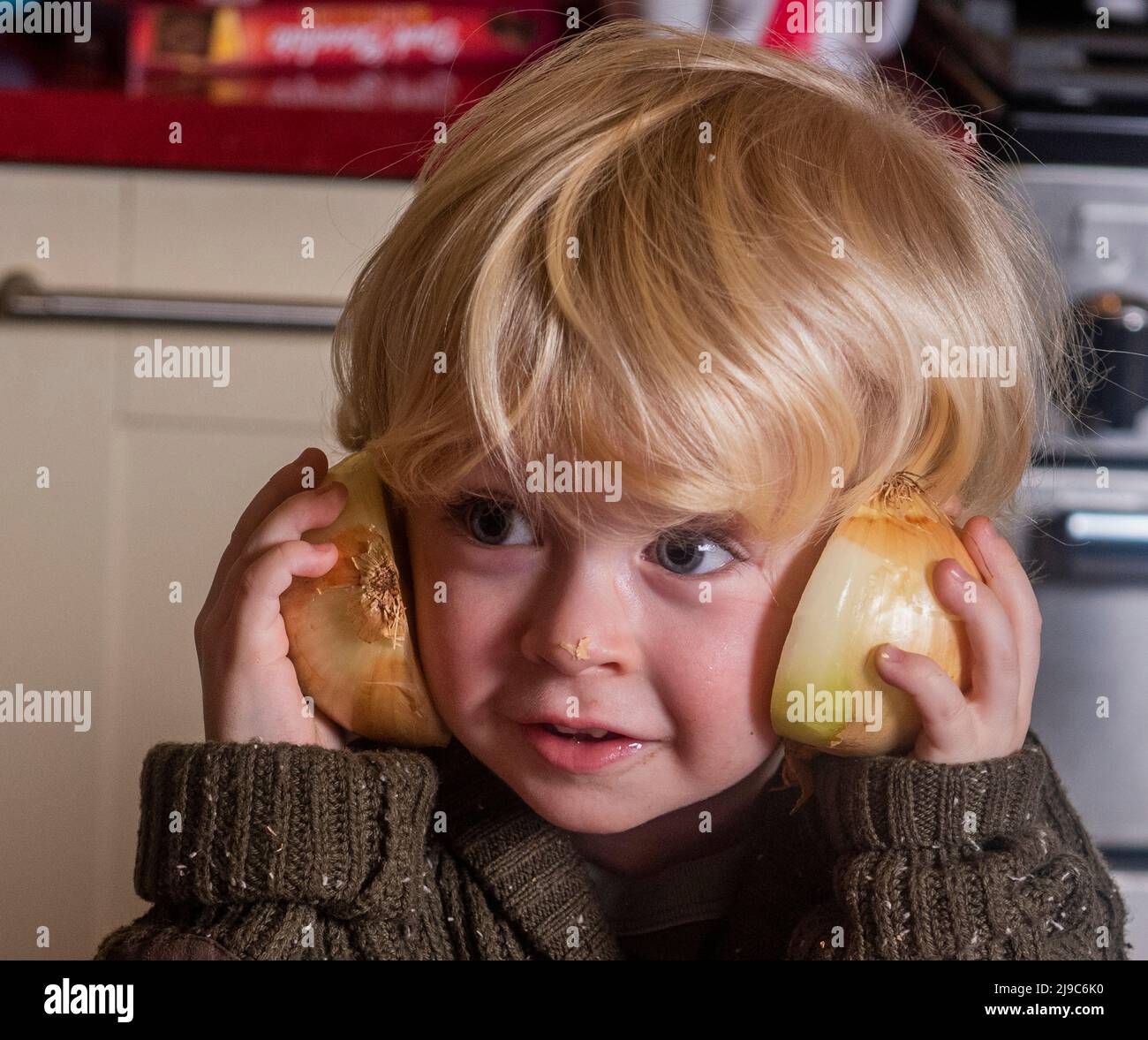 Two year old Jude McTague takes a close look at the new Sunions or tearless onions to check if it's true that they don't make you cry. Stock Photo