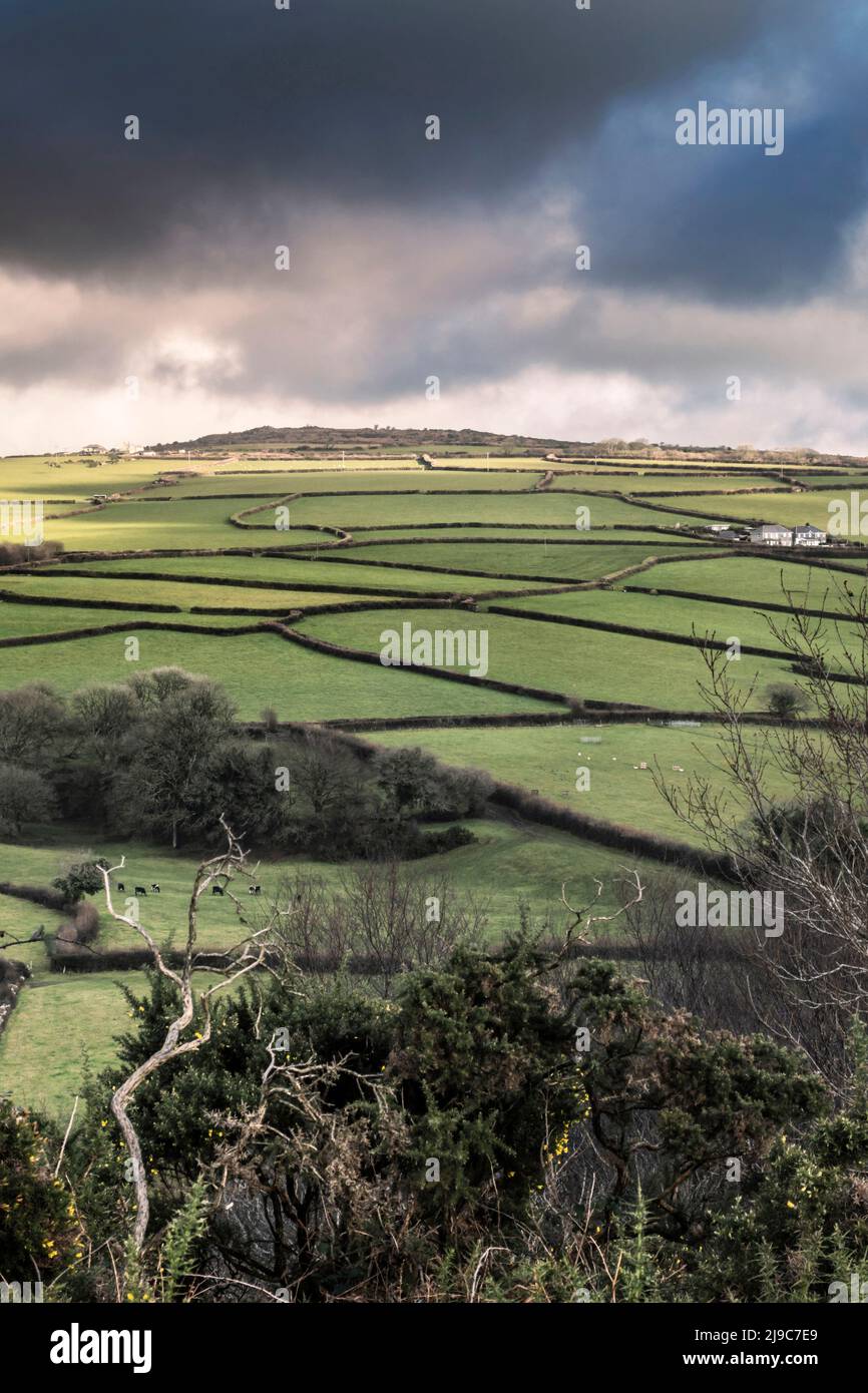 Fields on farmland on Bodmin Moor in Cornwall. Stock Photo