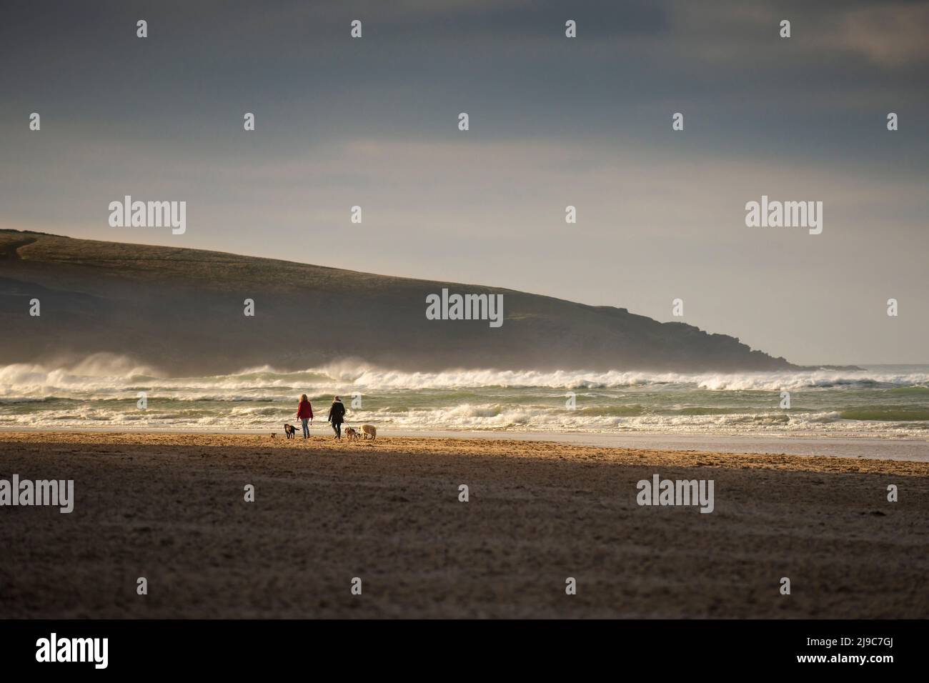 Distant dog walkers walking along the shoreline on Crantock Beach in evening light in Newquay in Cornwall. Stock Photo