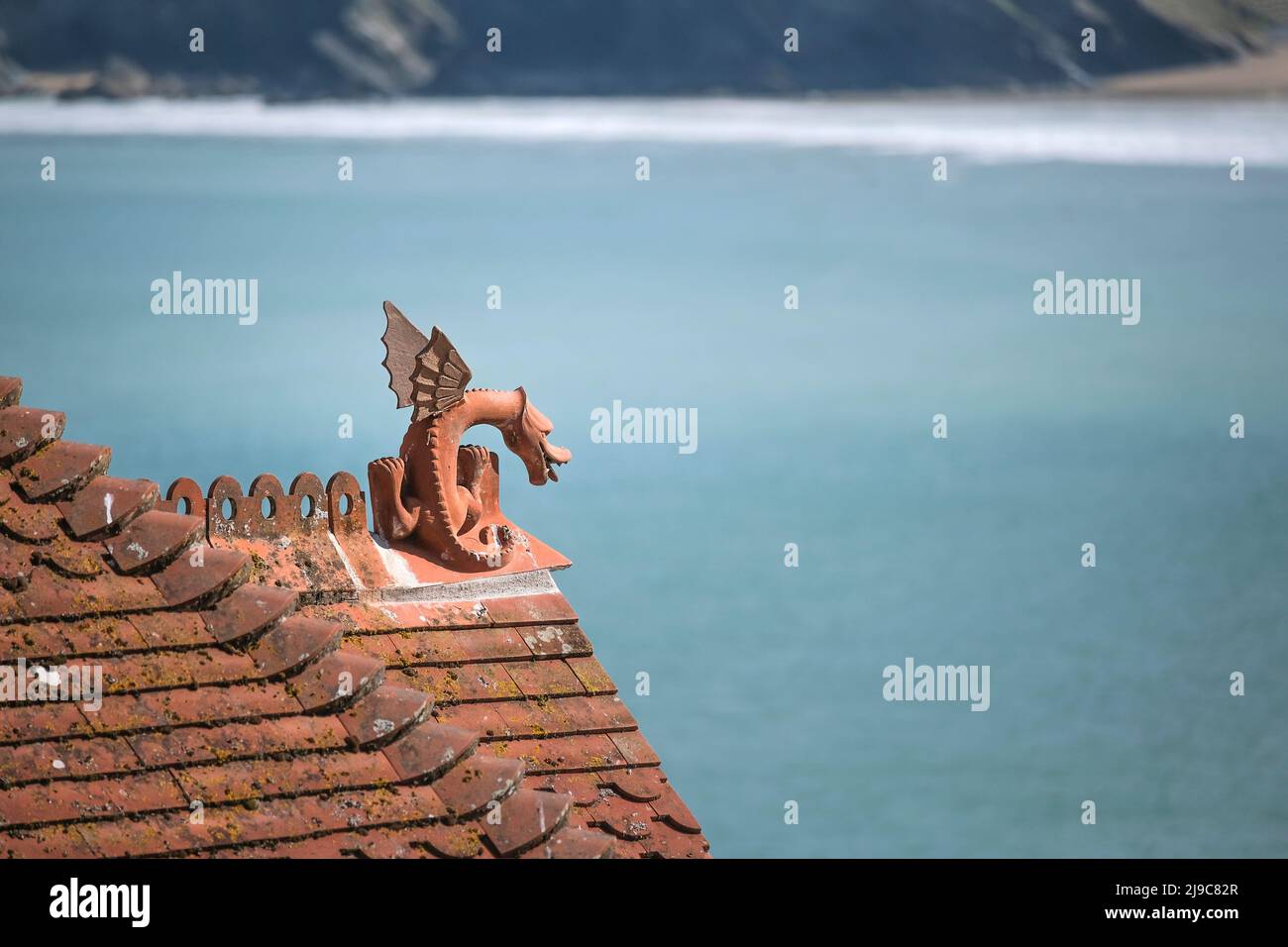 A terracotta dragon roof finial on a coastal property in Newquay in Cornwall. Stock Photo