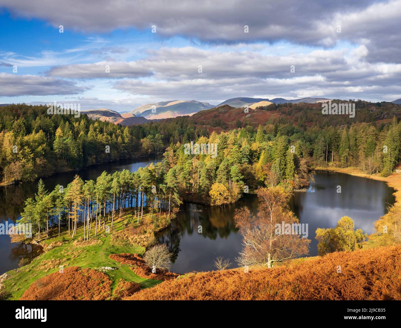 Warm afternoon light at Tarn Hows in the English Lake District. Stock Photo