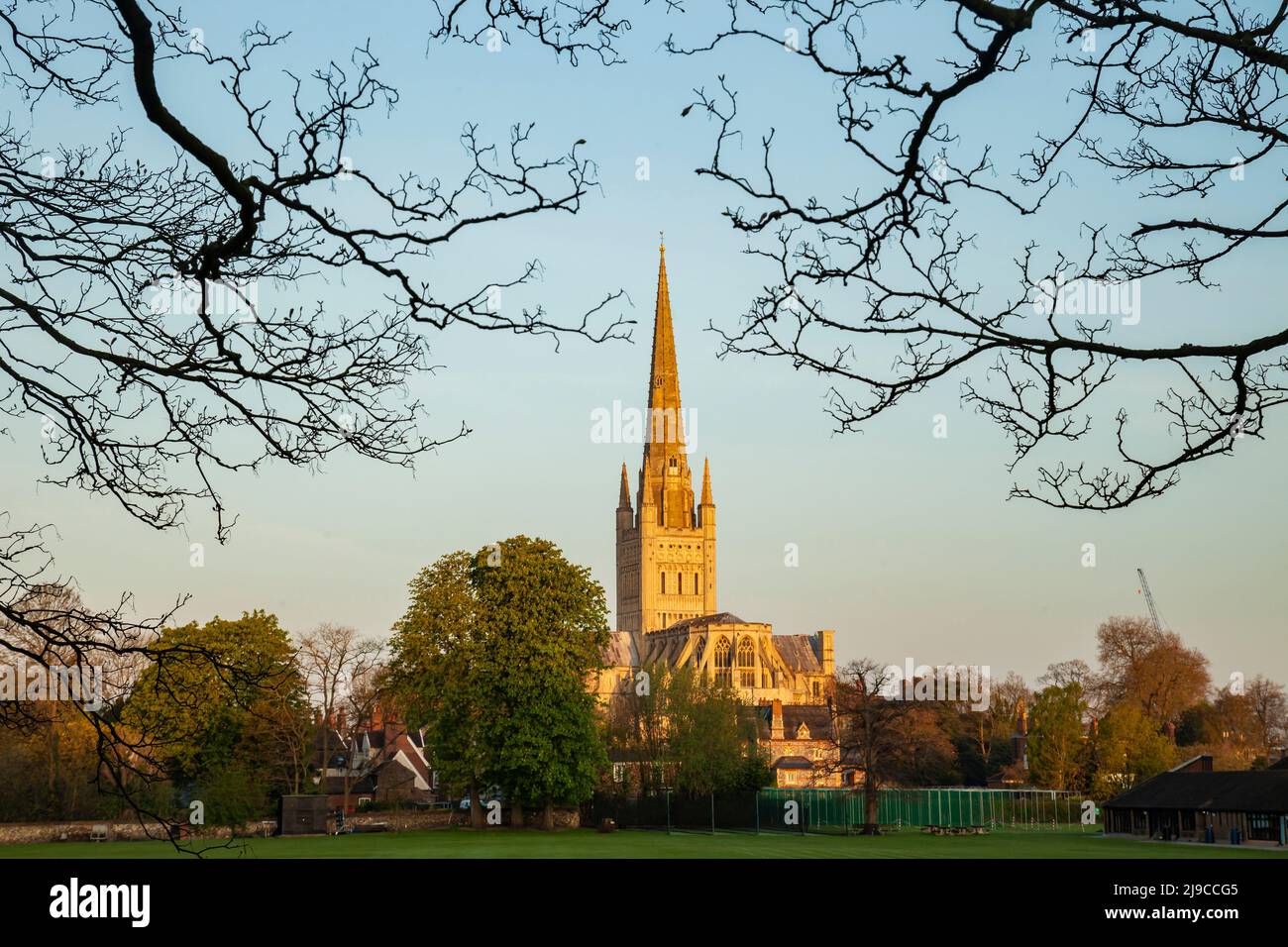Spring morning at Norwich Cathedral. Stock Photo