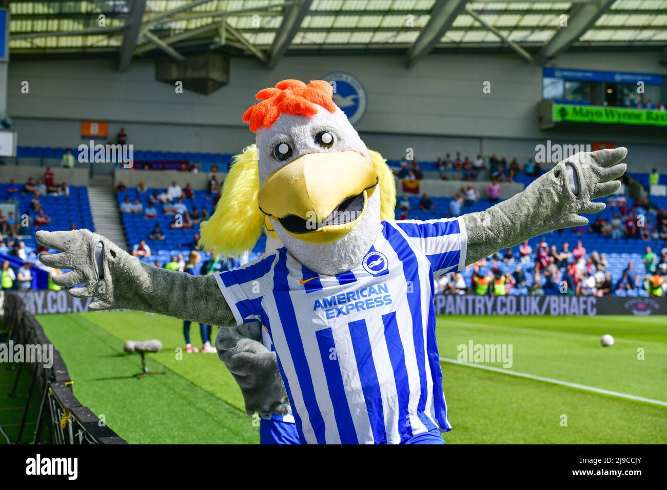 Brighton, UK. 22nd May, 2022. Gully the Brighton mascot before the ...