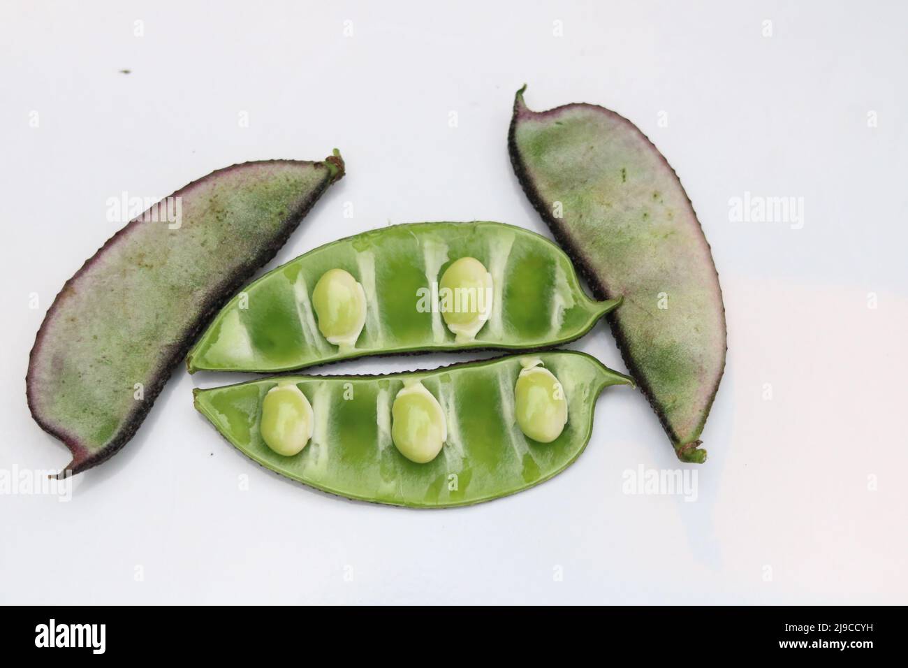 Fresh and healthy lima beans vegetables isolated, Beautiful fresh green