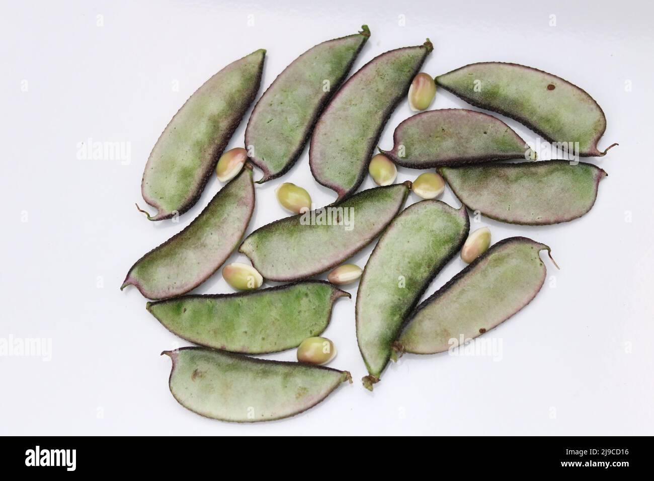 Fresh and healthy lima beans vegetables isolated, Beautiful fresh green
