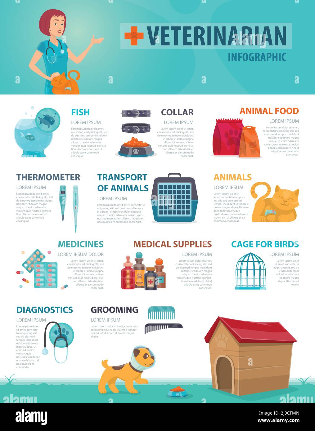Colorful vet infographic concept with animal products equipment and