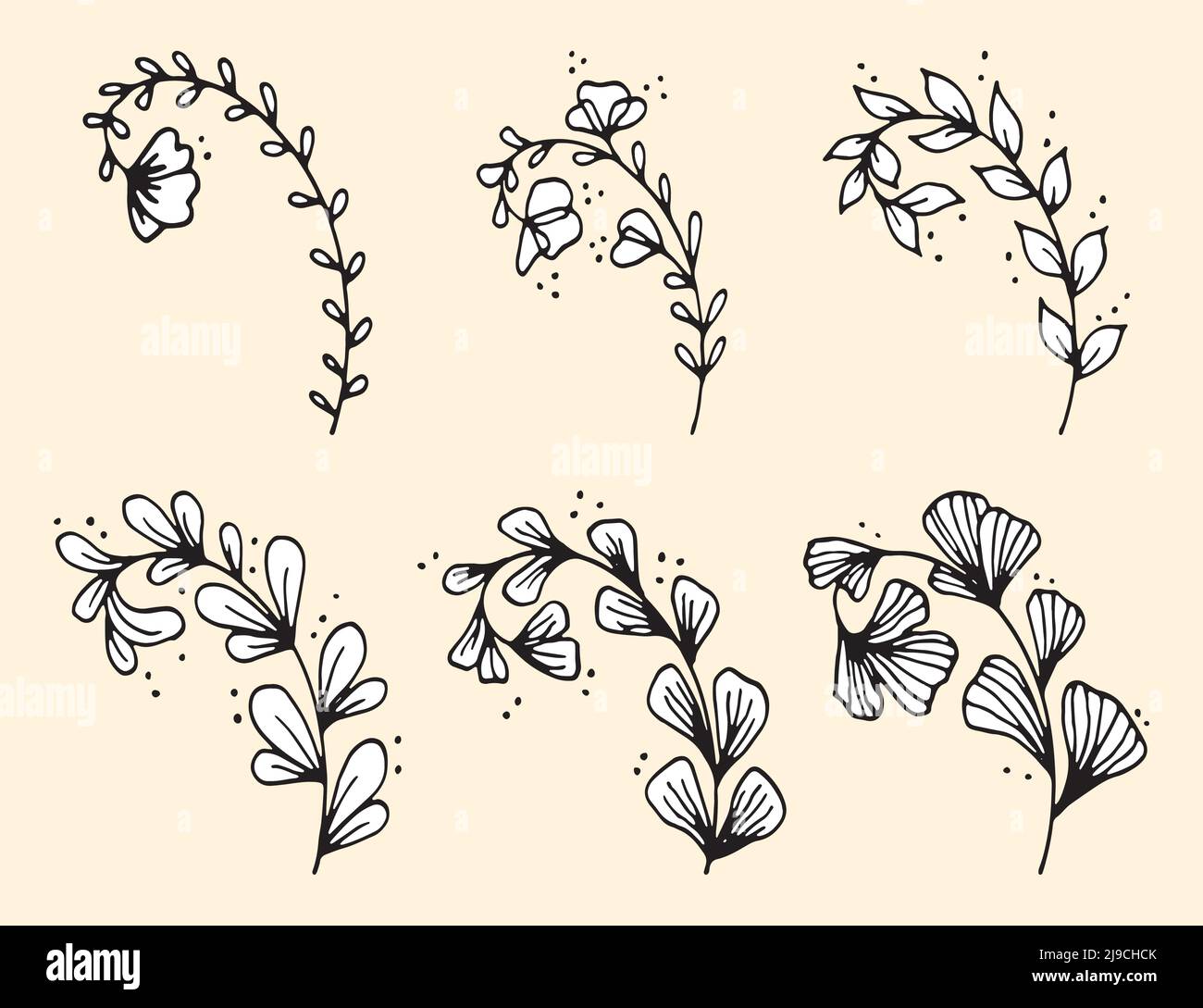 Set of Hand drawn doodle vector leaves and branches. Collection of tree ...