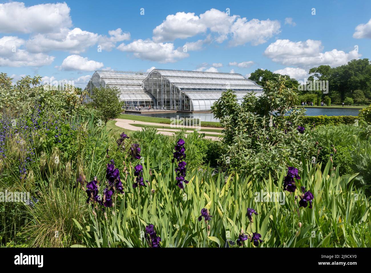 View of the glasshouse in RHS Wisley Garden during May, Surrey, England, UK, with purple irises in flower Stock Photo