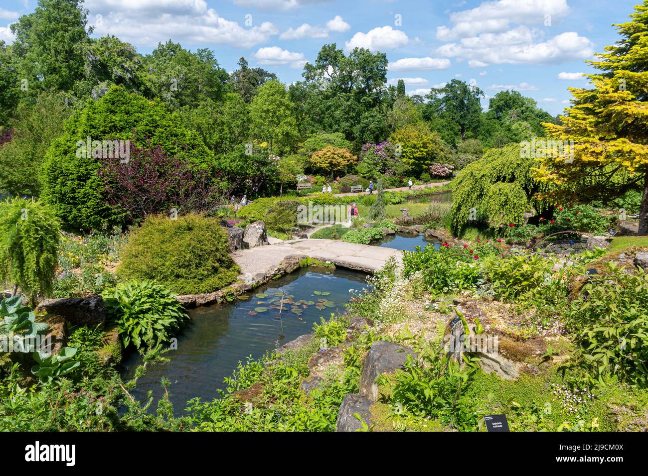 RHS Wisley Garden, view of the Rock Garden during May or late spring, Surrey, England, UK Stock Photo