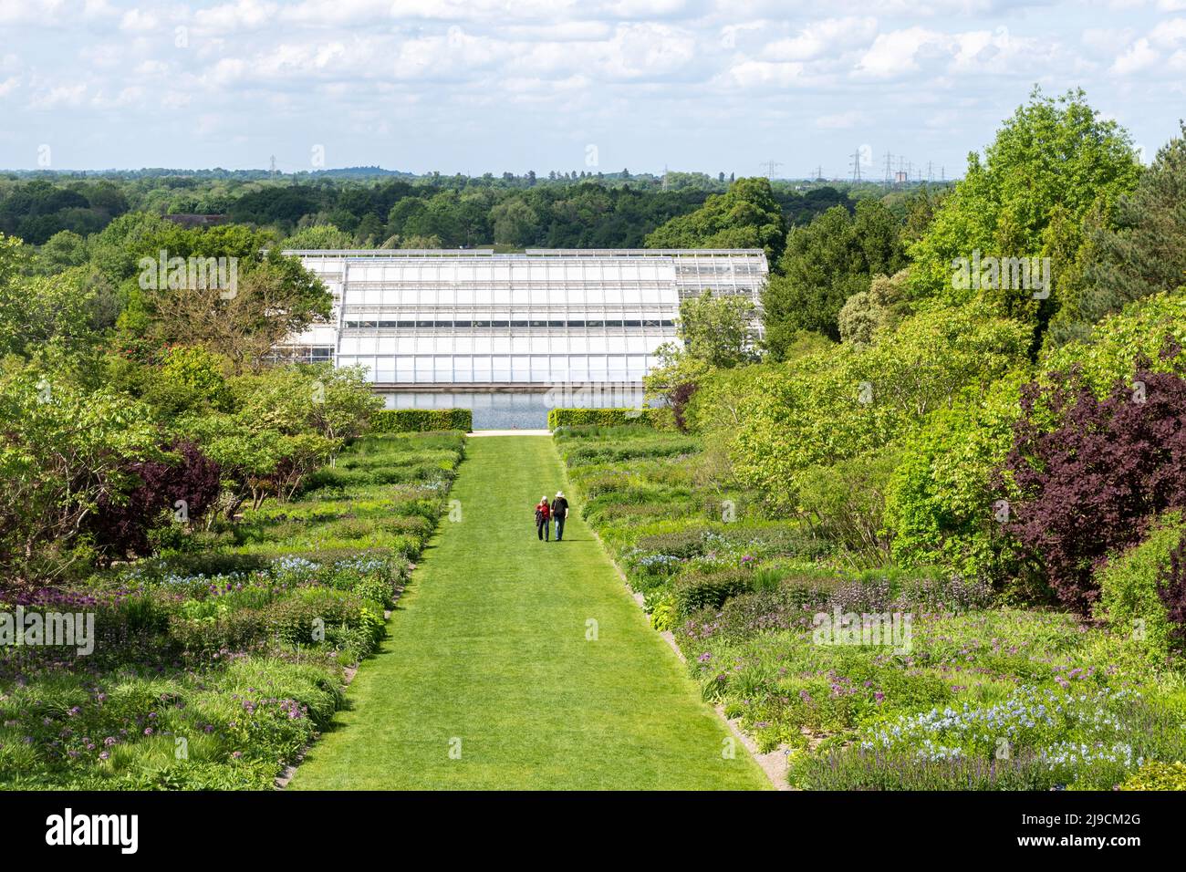 View of the glasshouse in RHS Wisley Garden from the viewing mount, during May, Surrey, England, UK Stock Photo