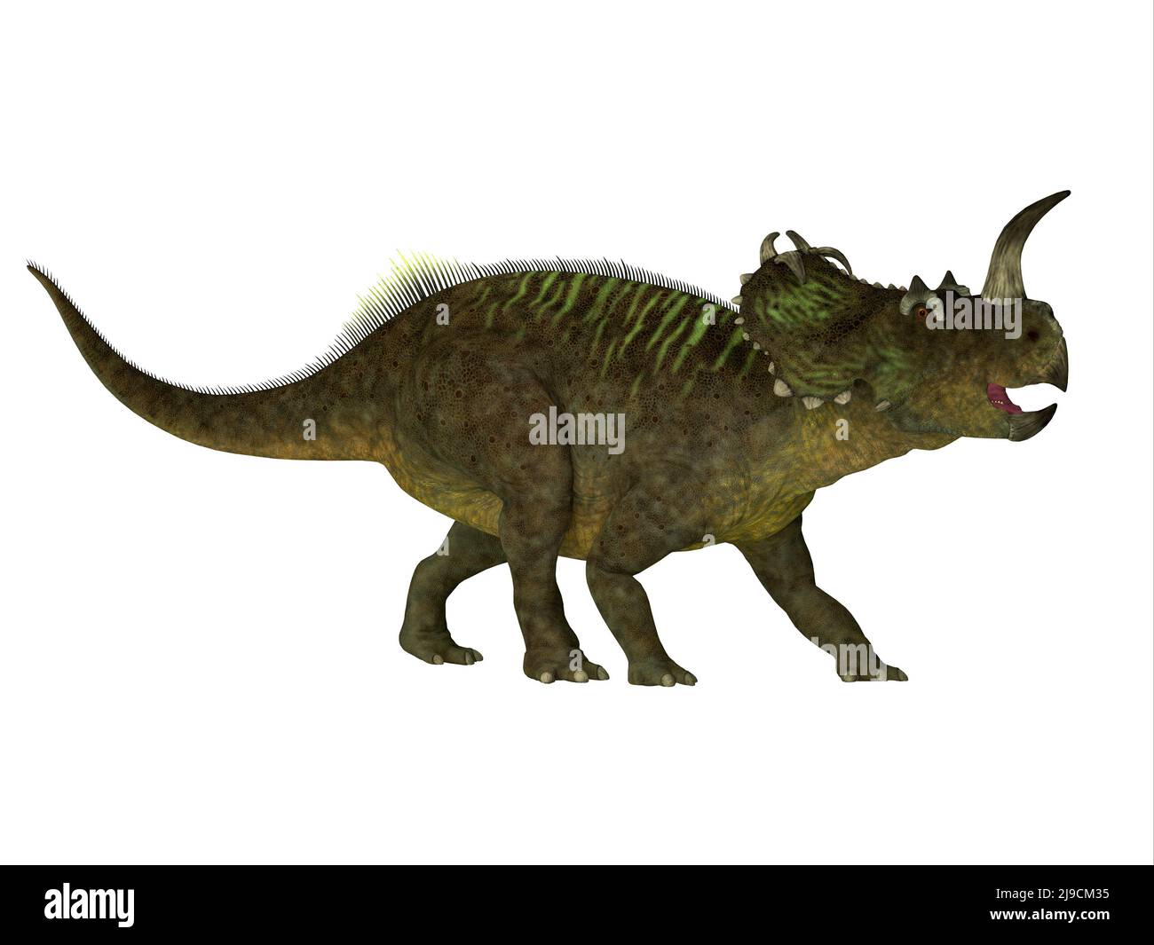 Centrosaurus was a herbivorous beaked dinosaur that lived in Canada during the Cretaceous Period. Stock Photo