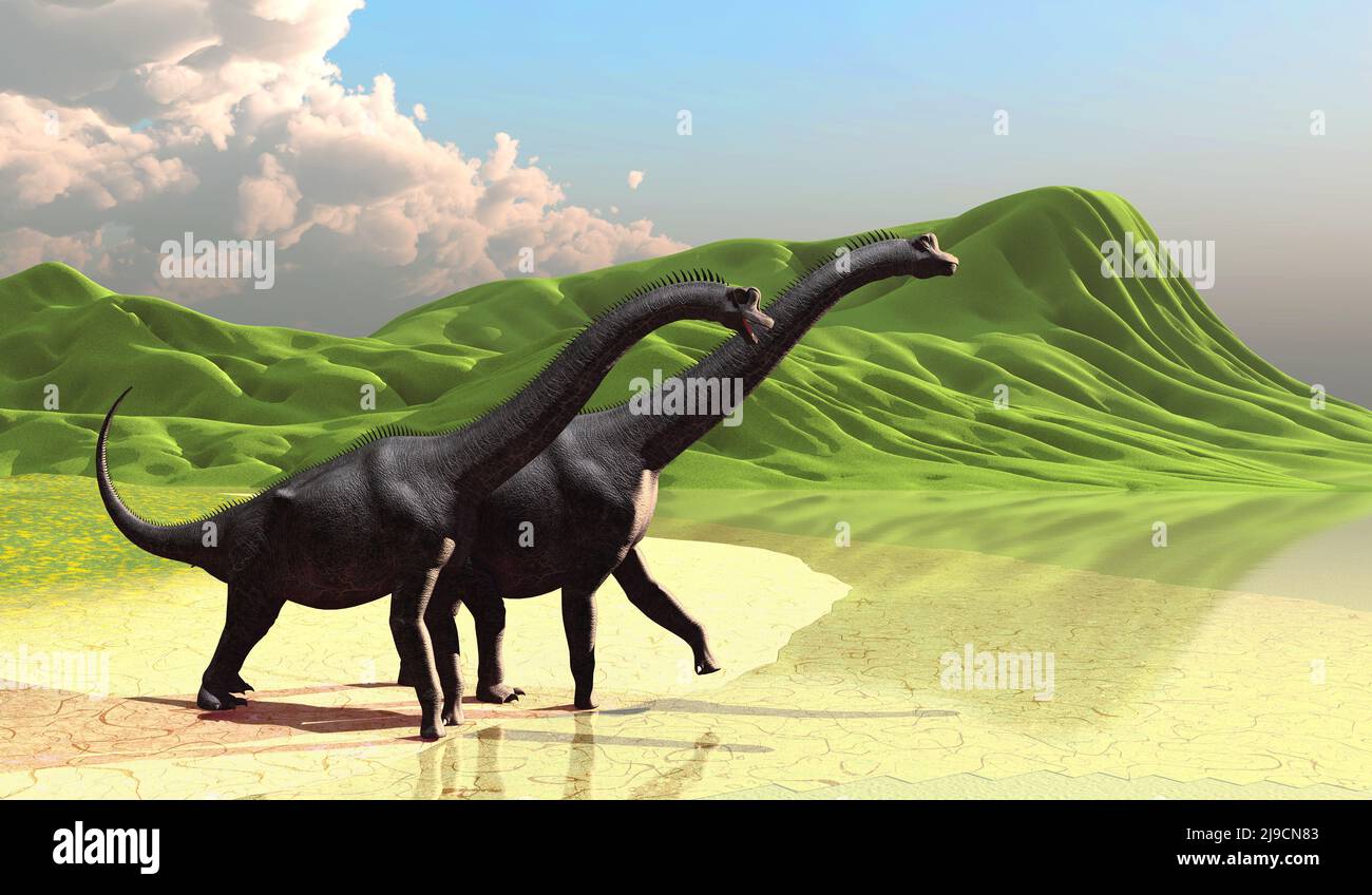 Rolling green hills end at a lakeshore as herbivorous sauropod Brachiosaurus dinosaurs come to the beach during the Jurassic Period. Stock Photo
