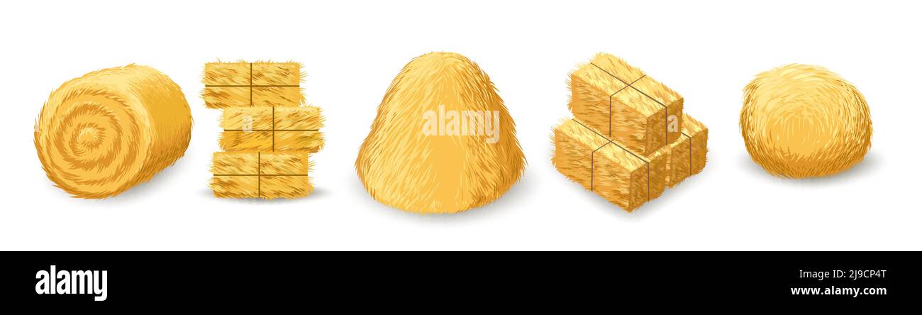 Straw bales isolated Stock Vector