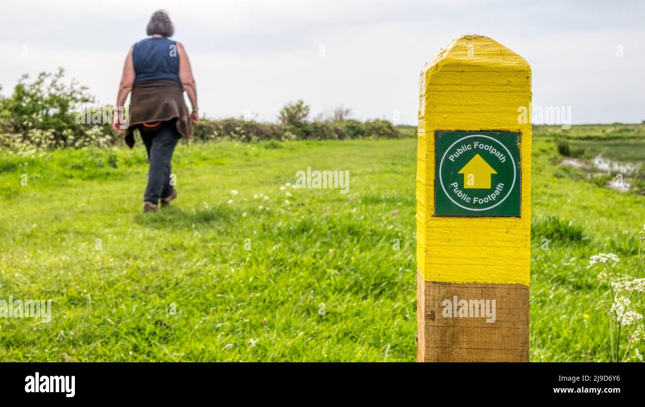 A woman walks past a public footpath waymarker on the Snettisham Circular Walk across the freshwater marshes on the eastern shore of The Wash. Stock Photo