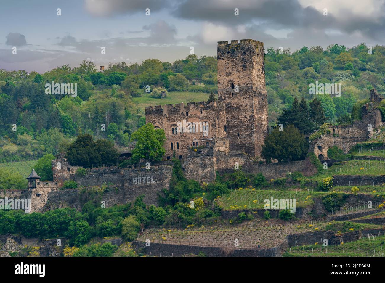 Gutenfels Castle on the Middle Rhine River in Germany Stock Photo - Alamy