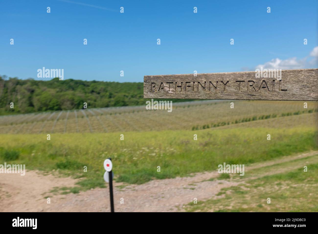 Rathfinny Wine Estate, East Sussex, UK Stock Photo