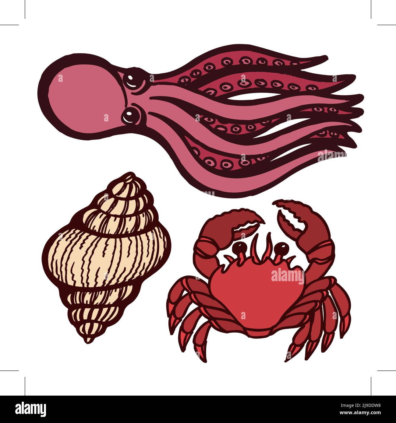 Octopus Shellfish Marine inhabitants. Octopus, crab and shellfish. Isolated objects ...