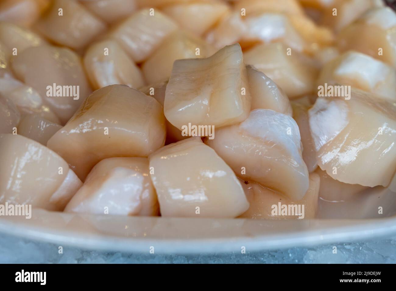 King scallop france hires stock photography and images Alamy