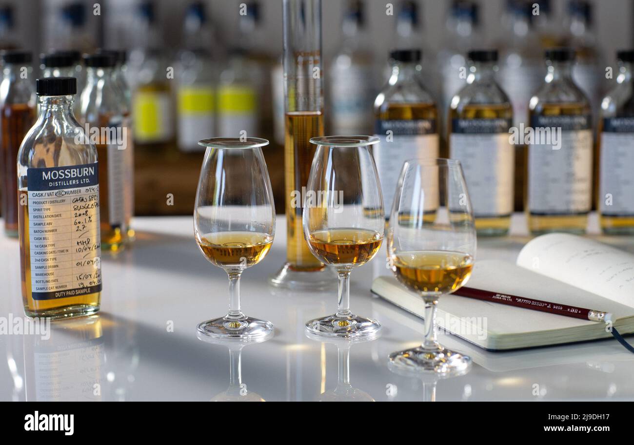 Single malt whisky blending . Whisky blender taking note Stock Photo