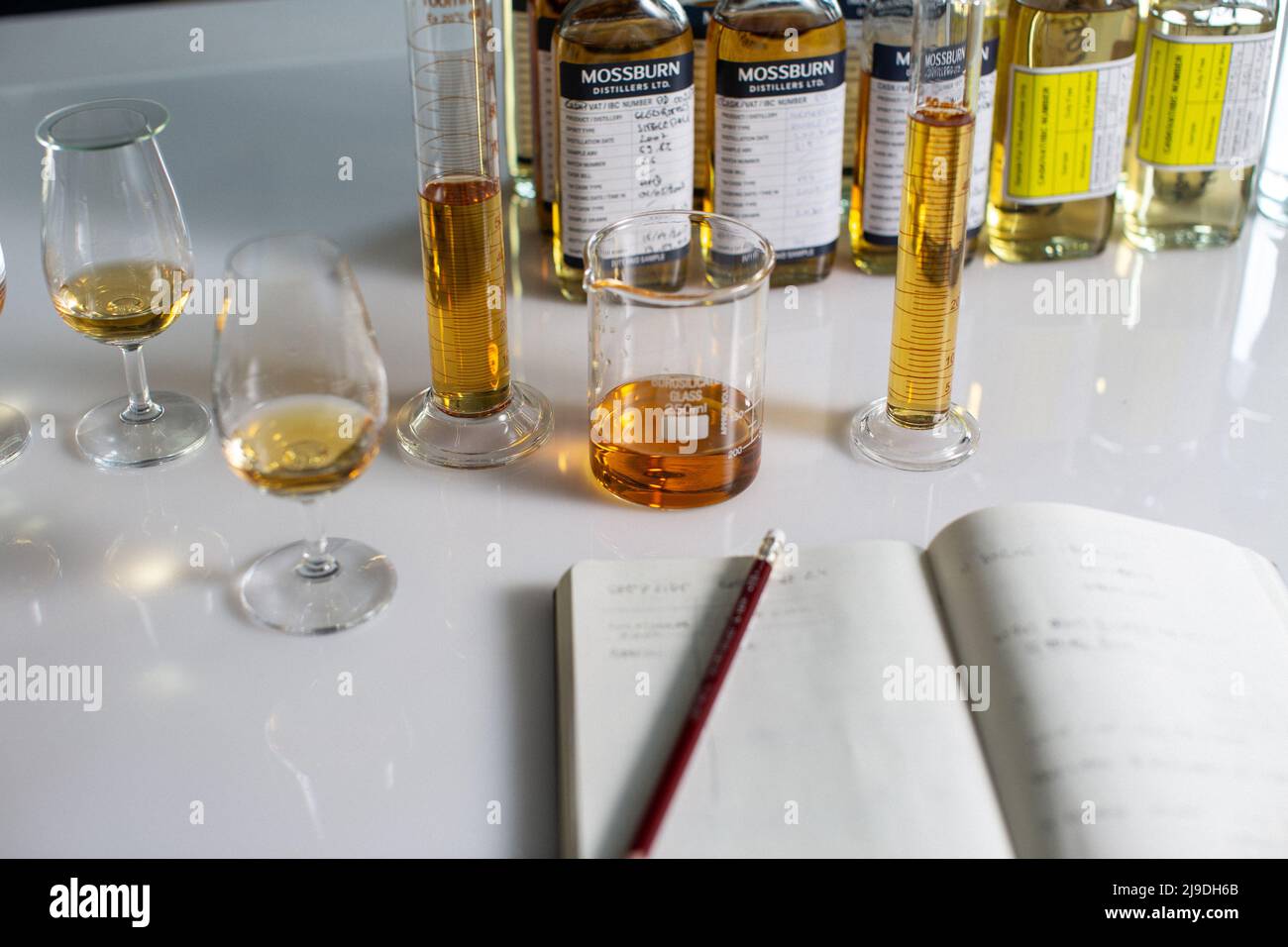 Malt whisky blending. Stock Photo