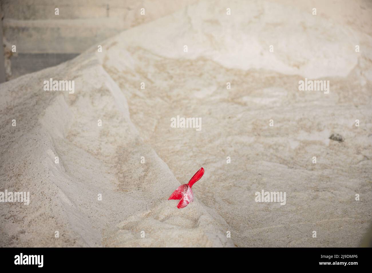 Maize flour cattle feed in farm storage Stock Photo Alamy