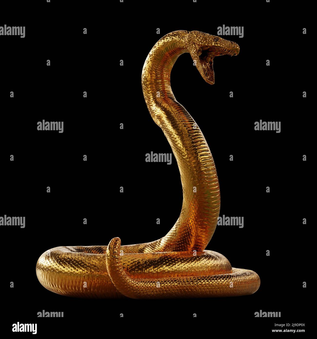 3d Illustration King Cobra The World's Longest Venomous Snake Isolated on  Black Background, King Cobra Snake, 3d Rendering Stock Photo - Alamy