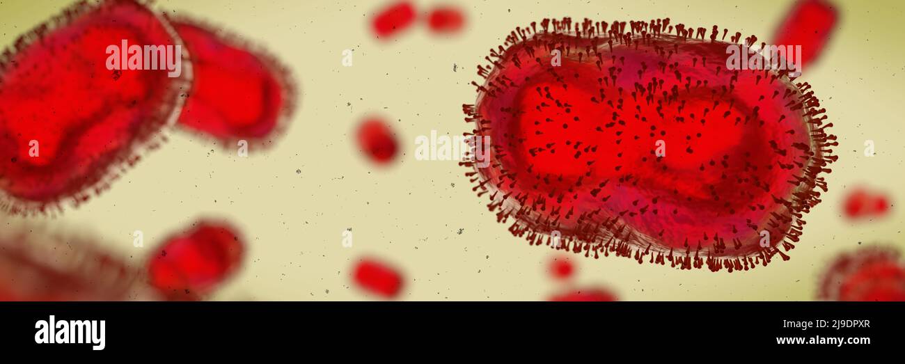Monkeypox virus, one of the human orthopoxviruses, background banner format Stock Photo