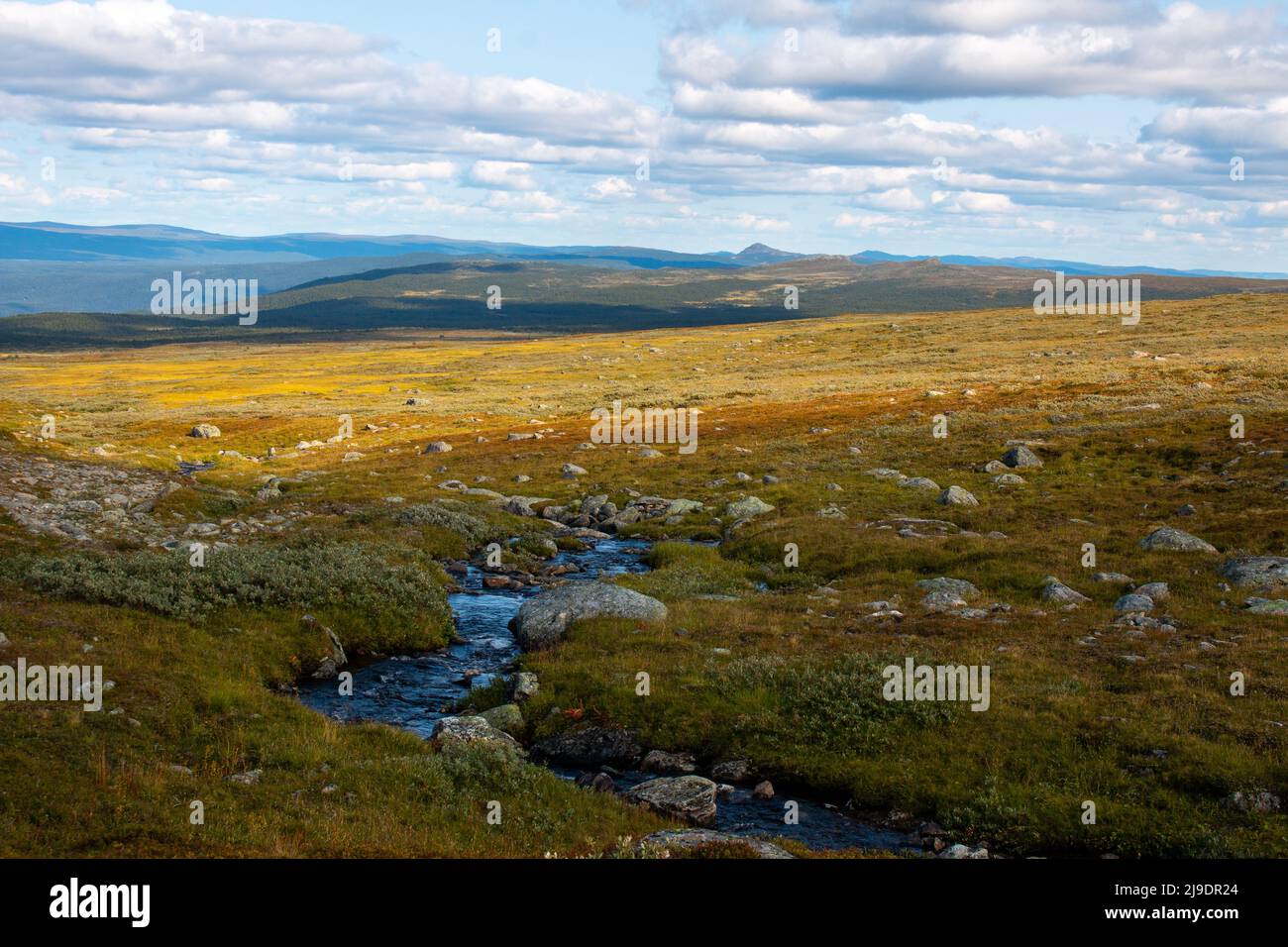 Kungsleden hiking trail between Serve and Aigert mountain huts in autumn colors, Lapland, Sweden, end of August Stock Photo