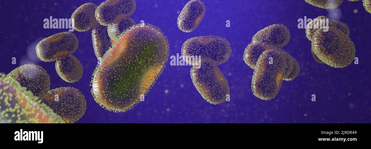 Monkeypox virus, infectious zoonotic disease Stock Photo