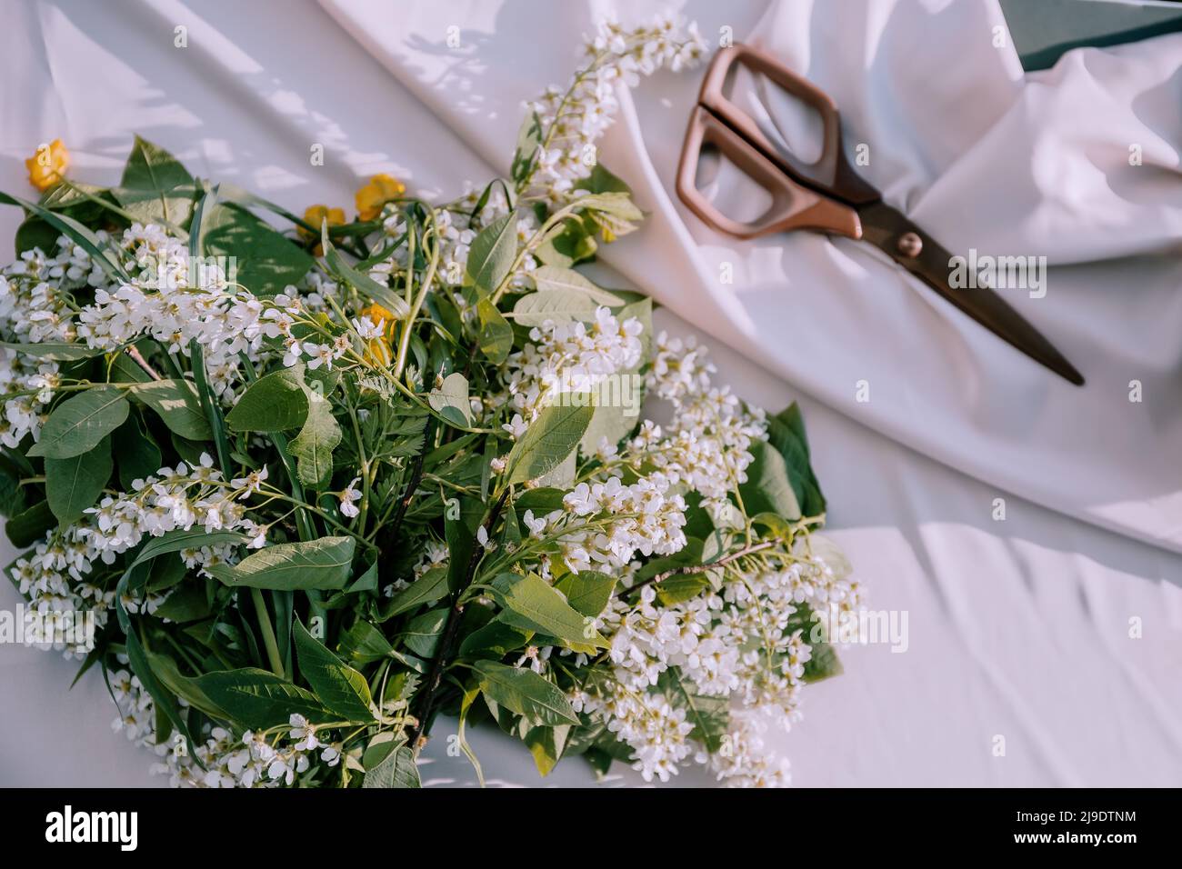 The florist desktop with working tools on light sunny background, Floristic tools like scissors, secateurs, twine, knife, flowers Stock Photo