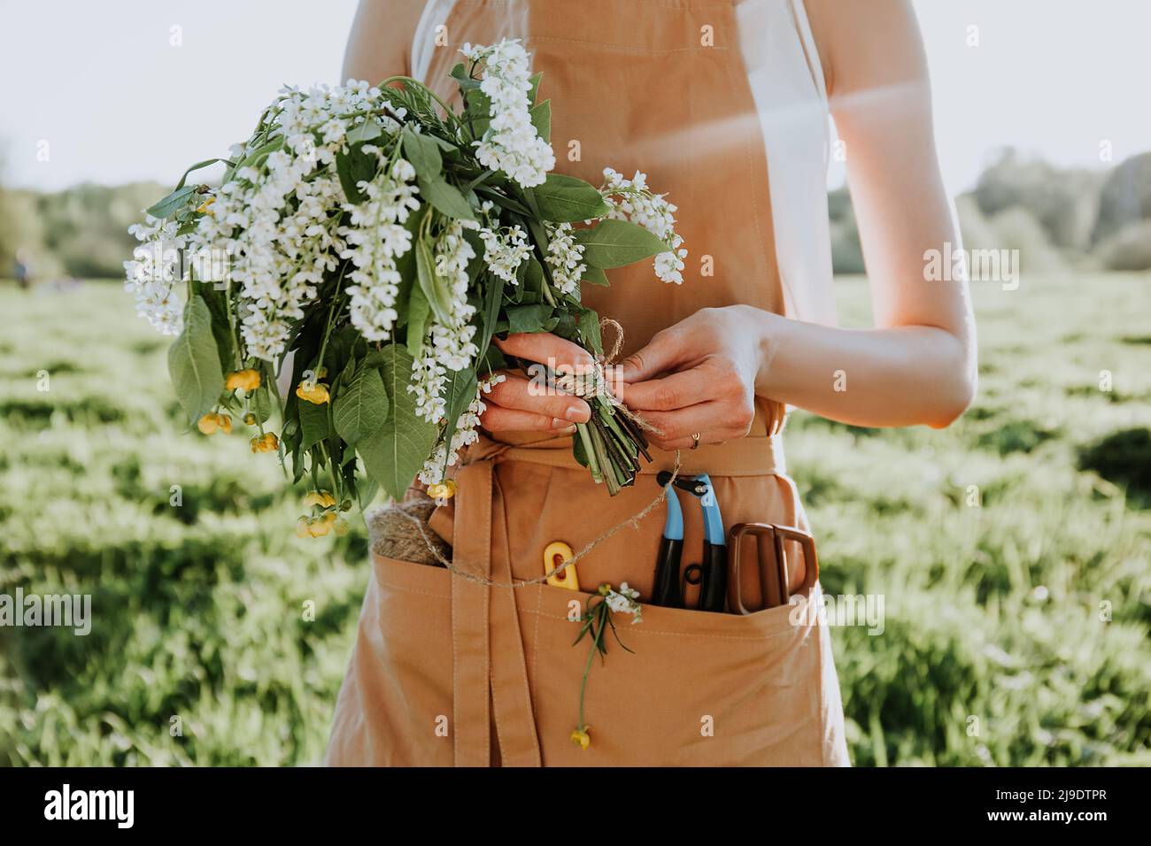 Portrait of beautiful woman making wreath of flowers dandelions on flowering field. Summer lifestyle, nature lover and freedom concept. Florist worksh Stock Photo