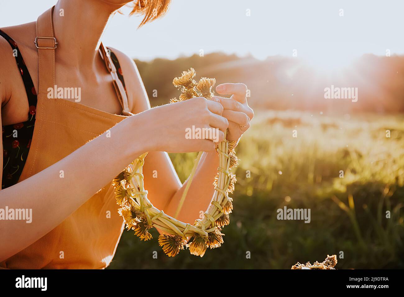 Portrait of beautiful woman making wreath of flowers dandelions on flowering field. Summer lifestyle, nature lover and freedom concept. Florist worksh Stock Photo