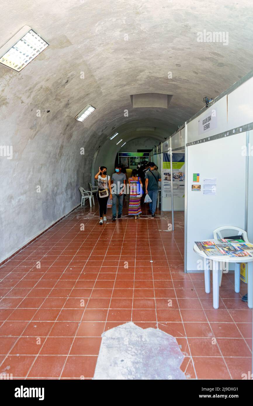 People browsing the diverse pavilions selling books during the Feria