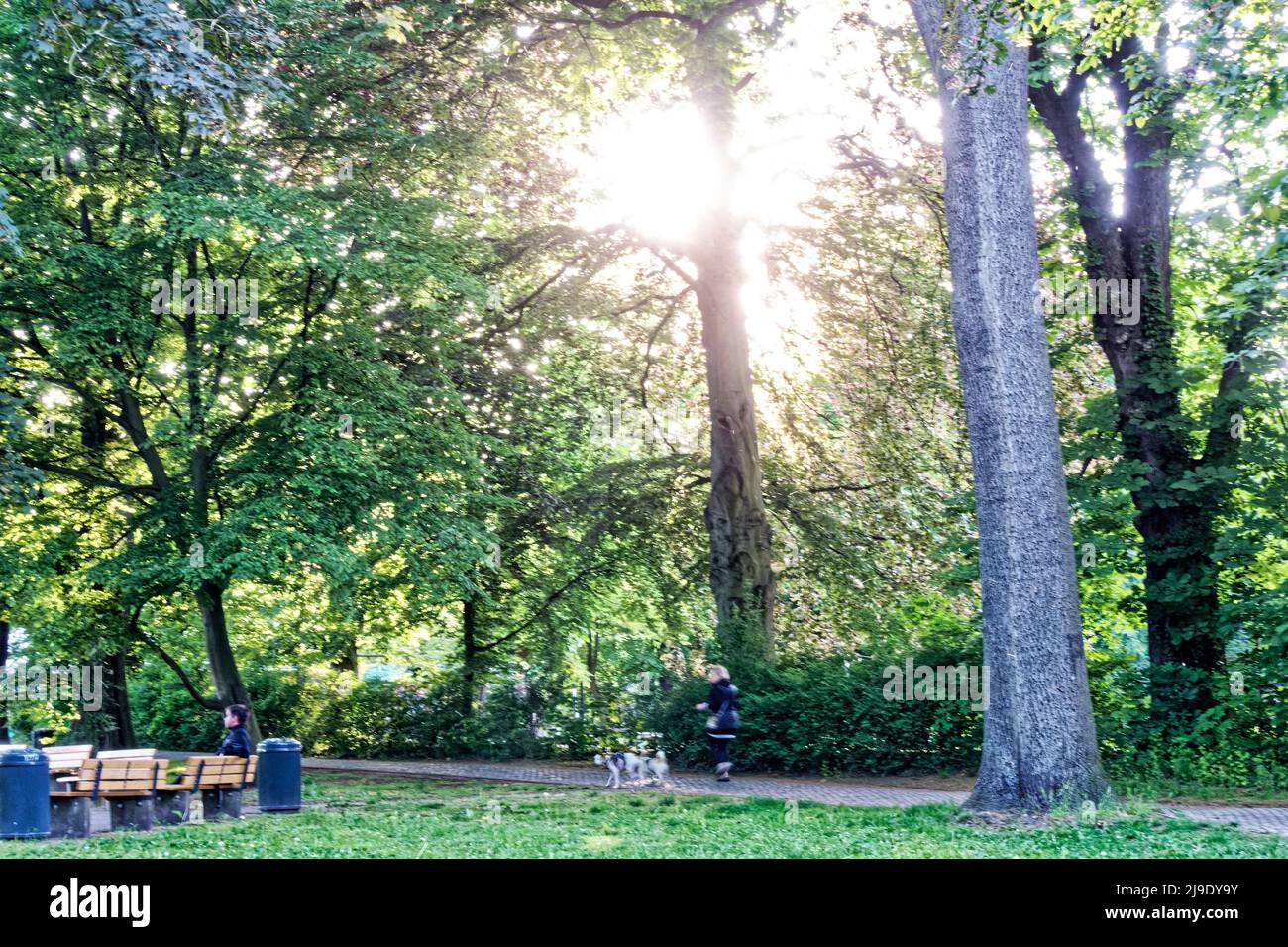 Stephanus. Straße Linden Landschaftsgarten in Linden. VonAltenGarten