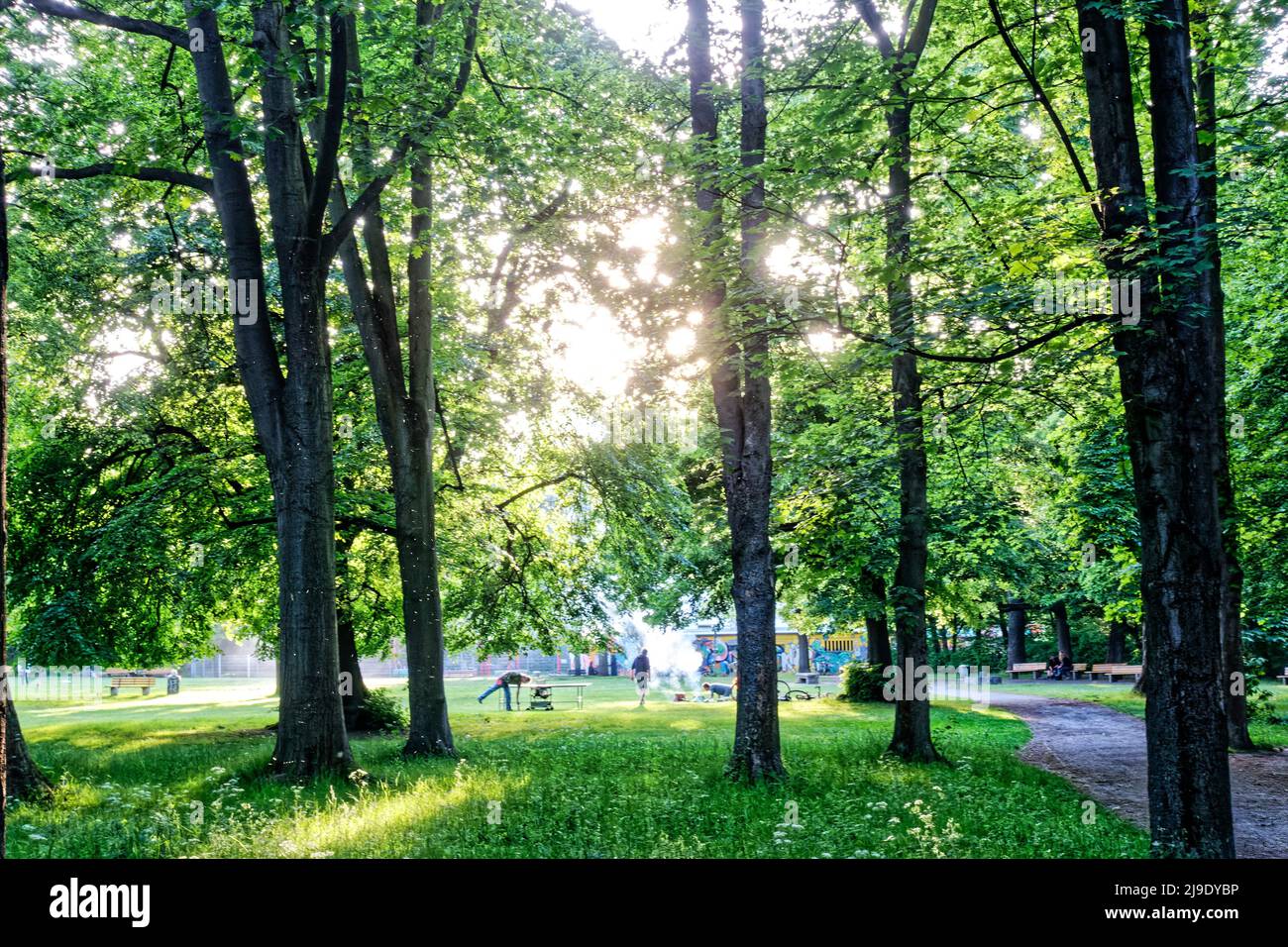 Stephanus. Straße Linden Landschaftsgarten in Linden. VonAltenGarten