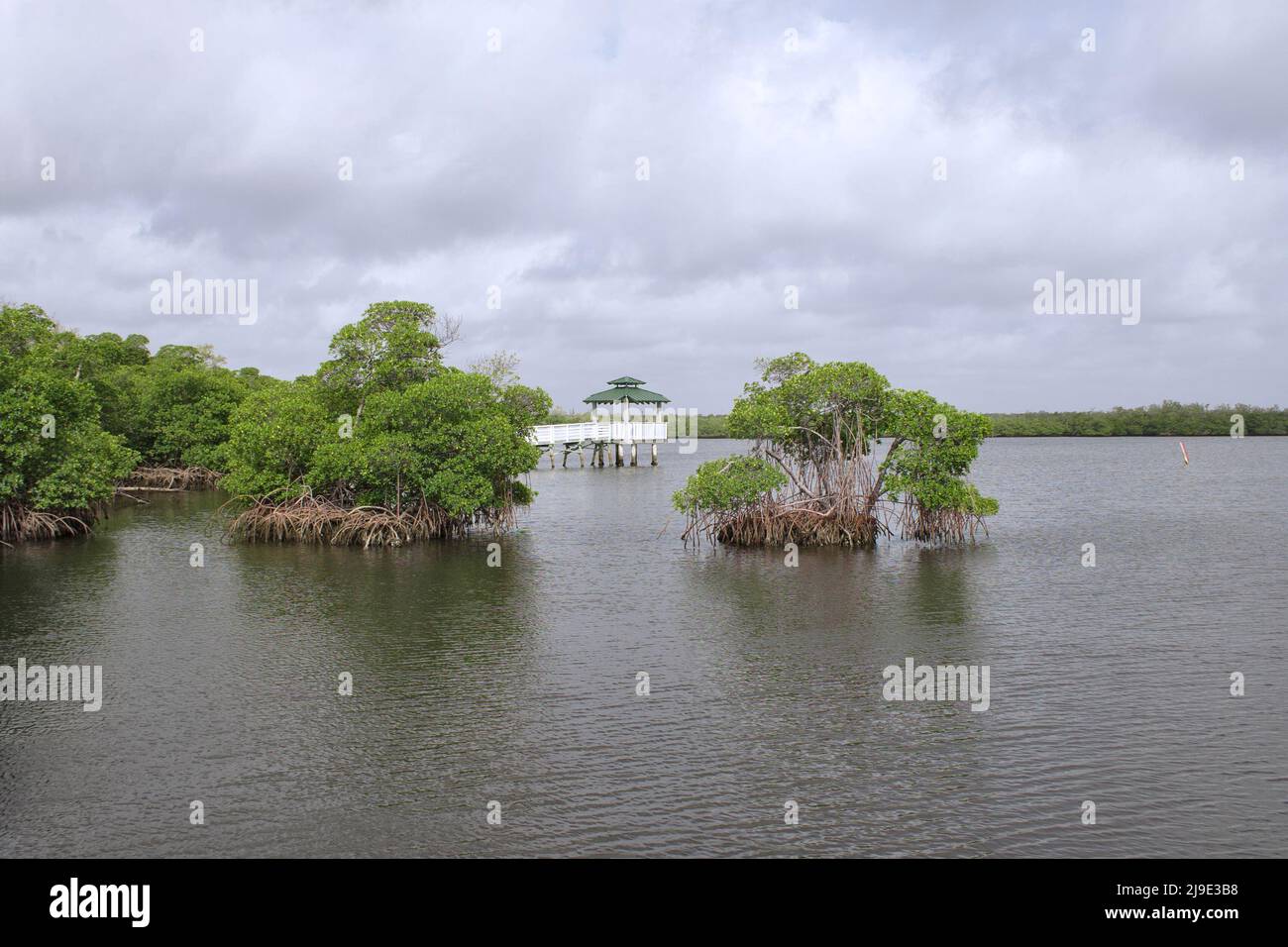 View of the gazebo between the mangroves Stock Photo