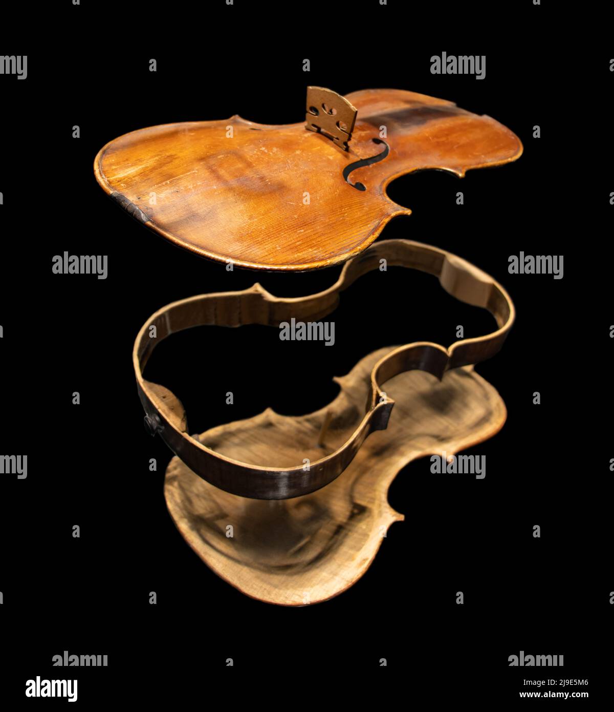 Violin demonted in a parts, on a black background Stock Photo
