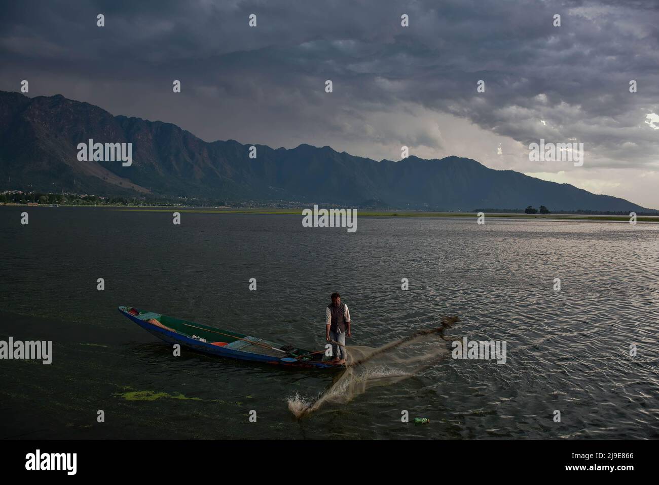 A fisherman casts his net in Dal Lake during a cloudy evening in