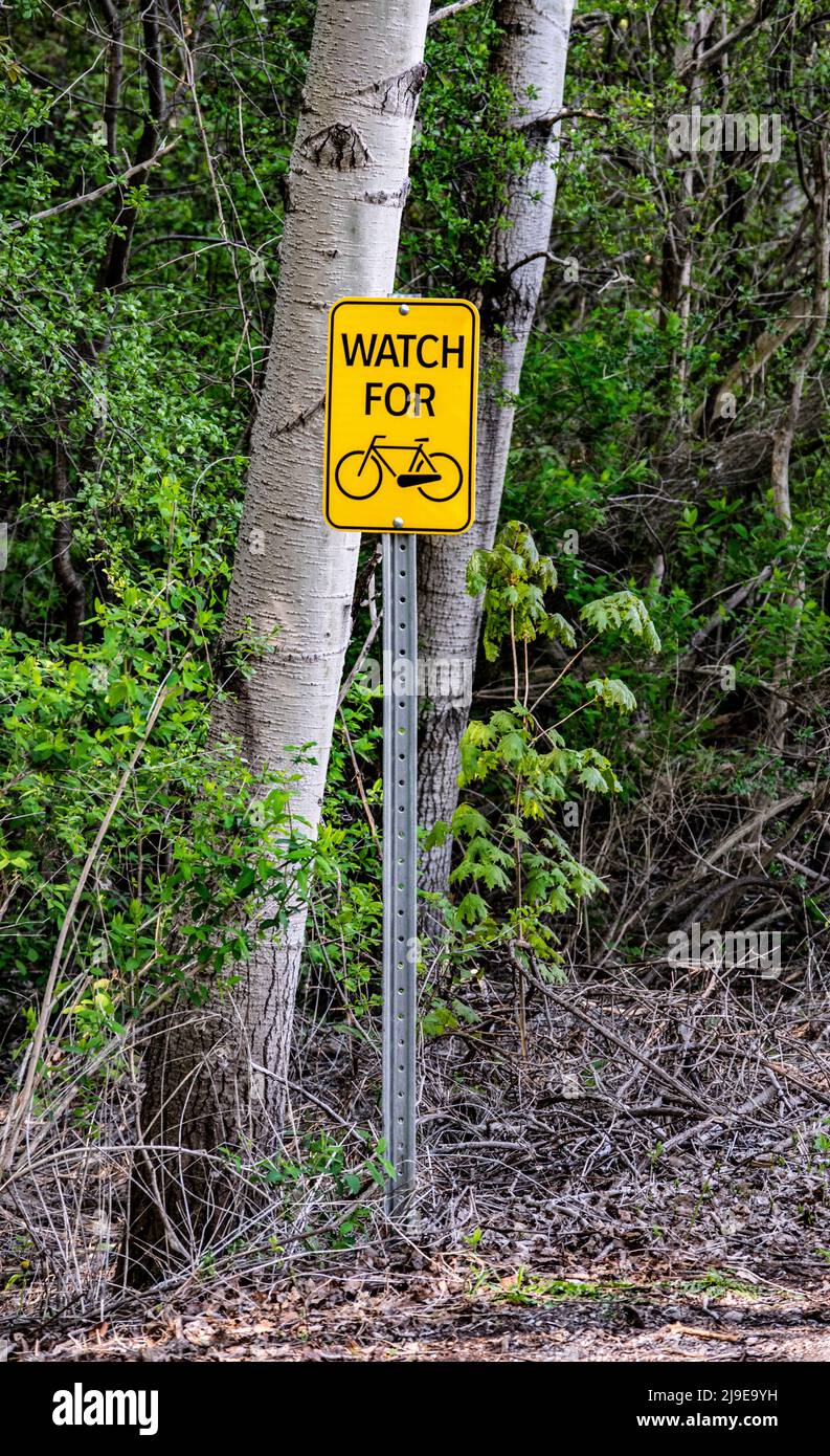 Watch for bicycle sign in a public park- stock photography Stock Photo