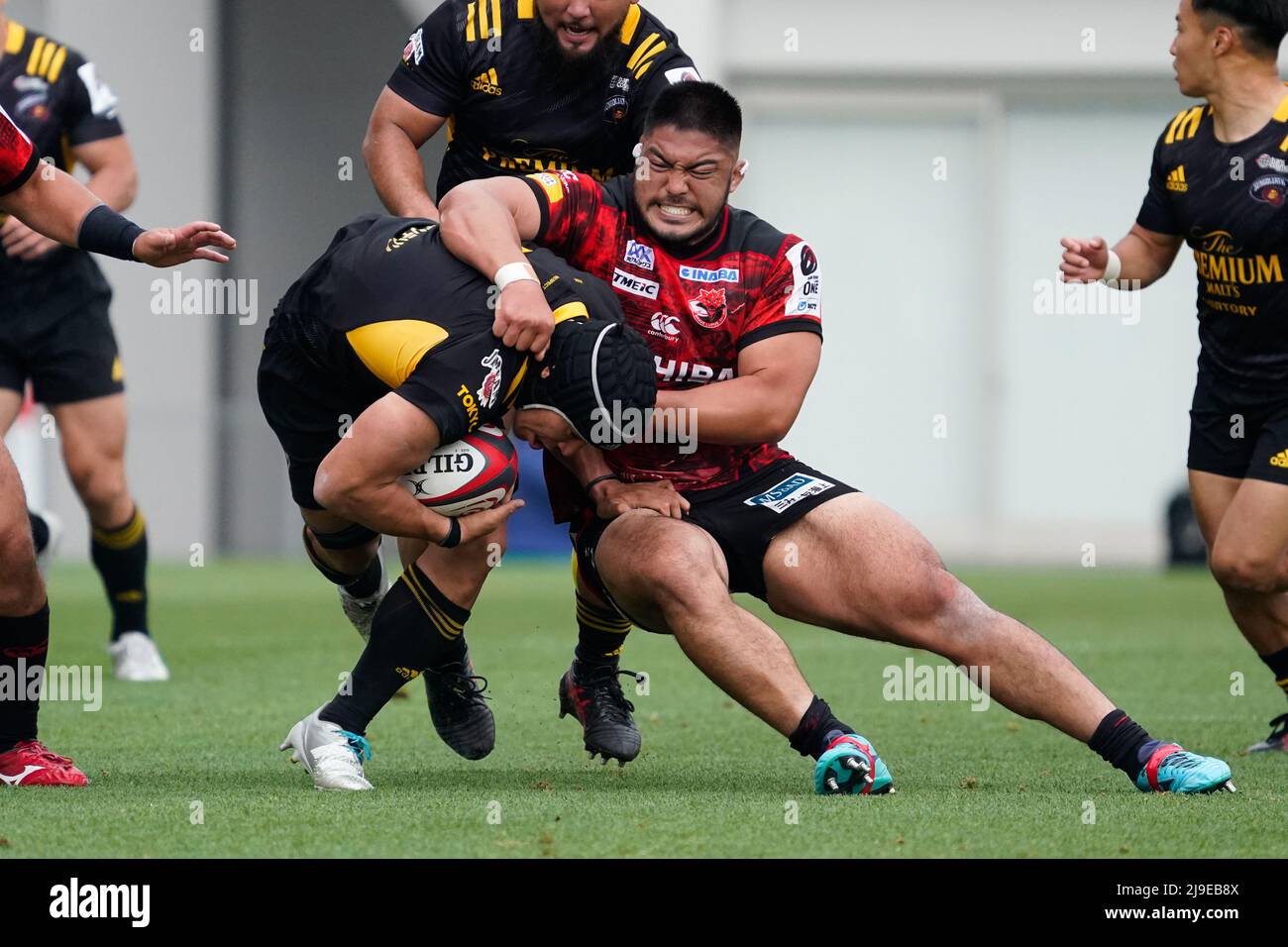 SEIRYO RUGBY ピステ Japan Rugby League One 2024-25 - Quarterfinal